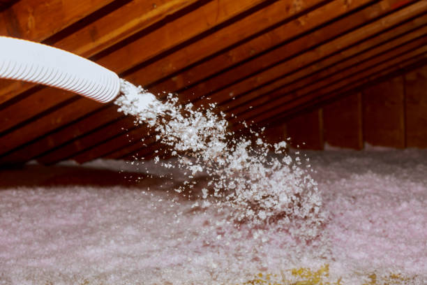Best Best Insulation Companies  in Bryans Road, MD
